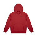 NSG Hoodie